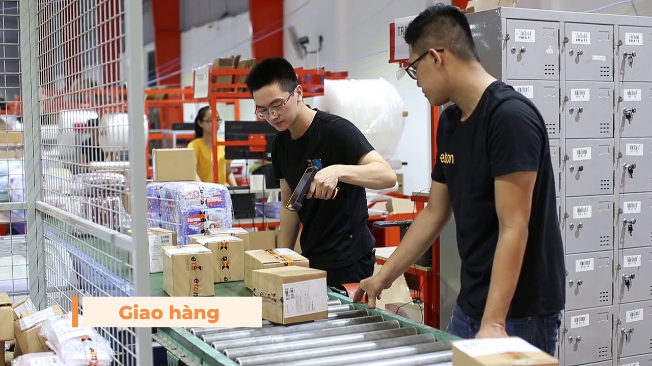 Ảnh minh họa số 3