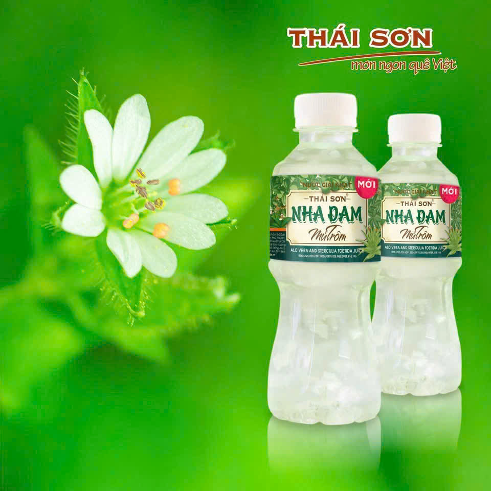 Ảnh minh họa số 2
