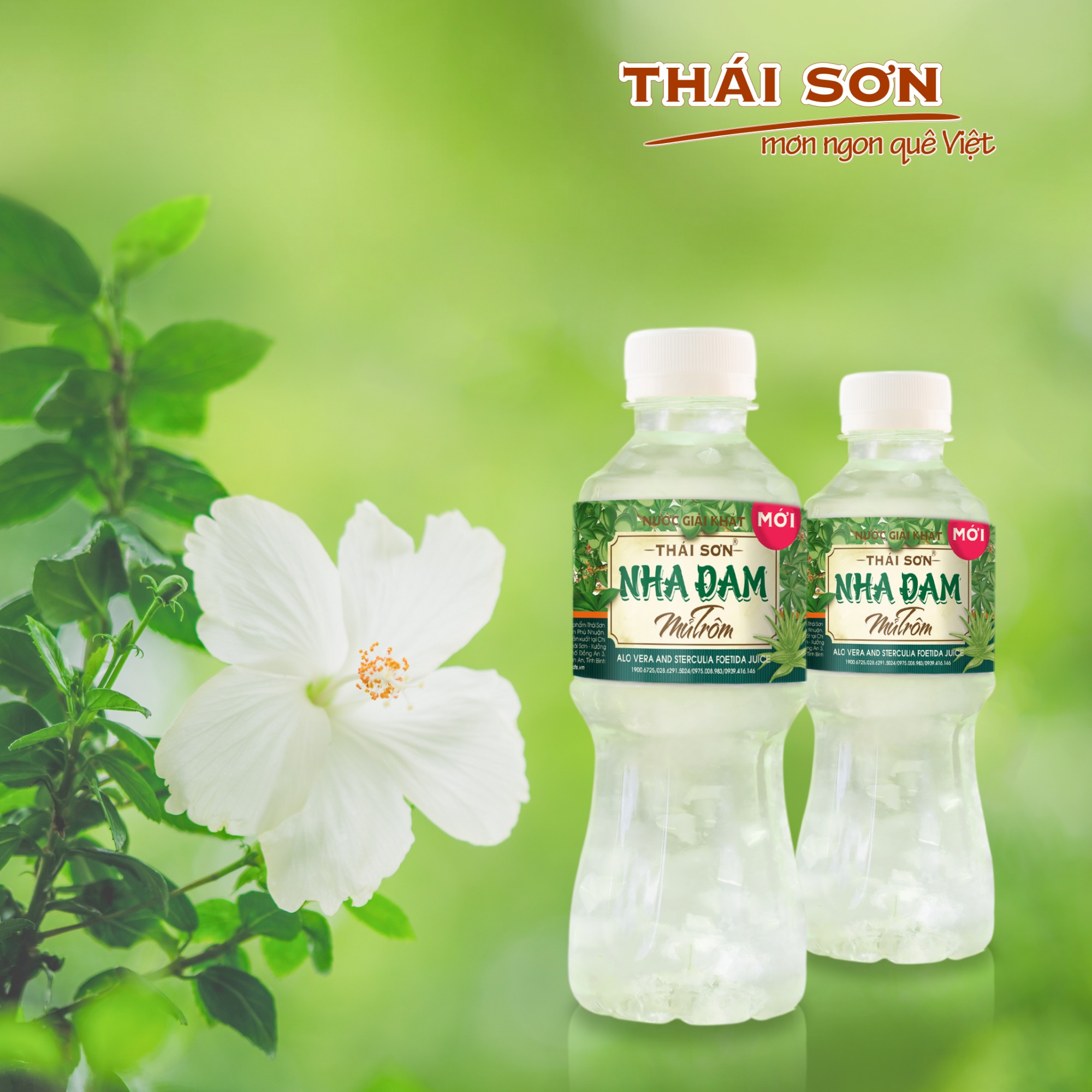 Ảnh minh họa số 3