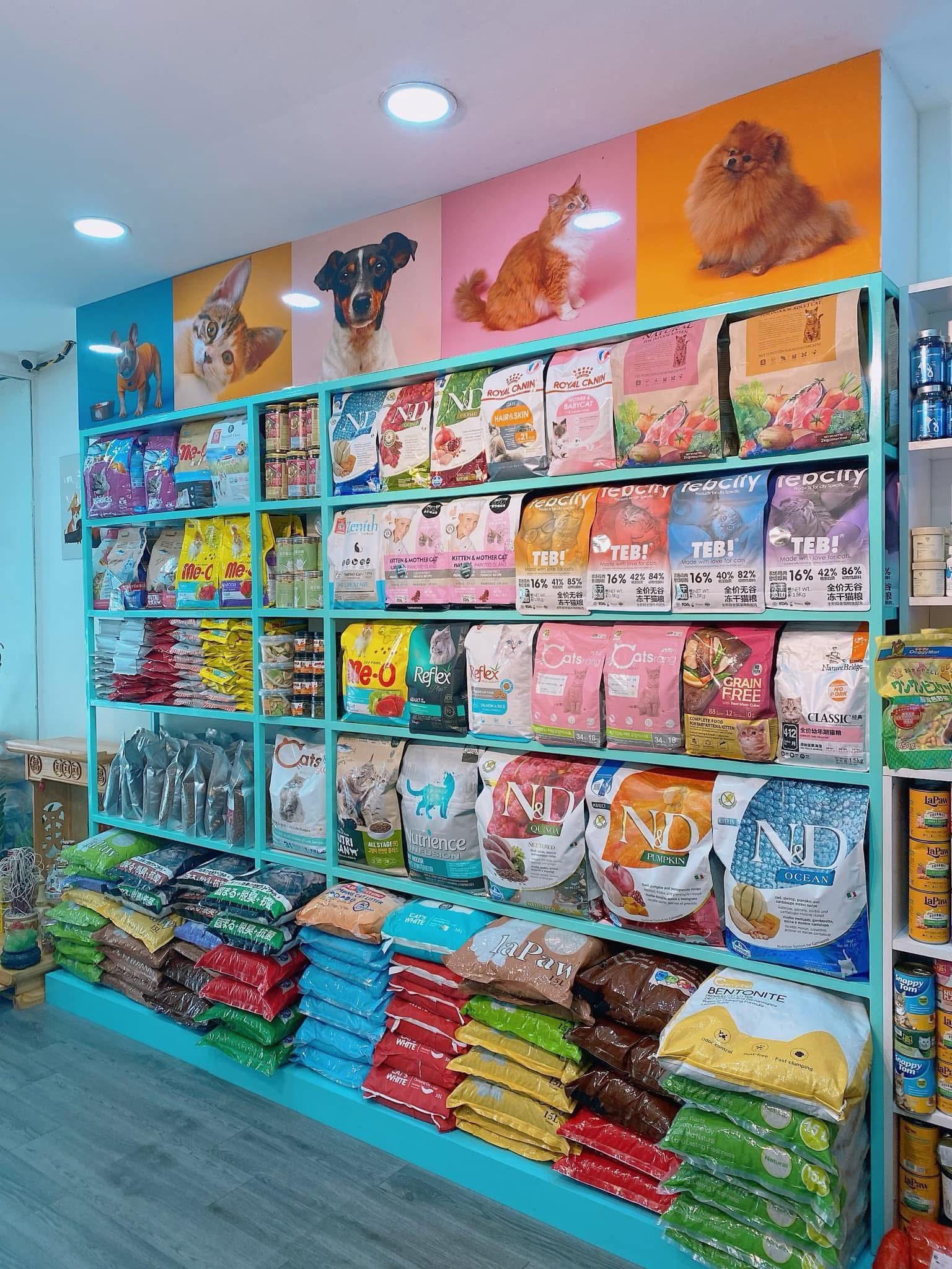 Ảnh minh họa số 1