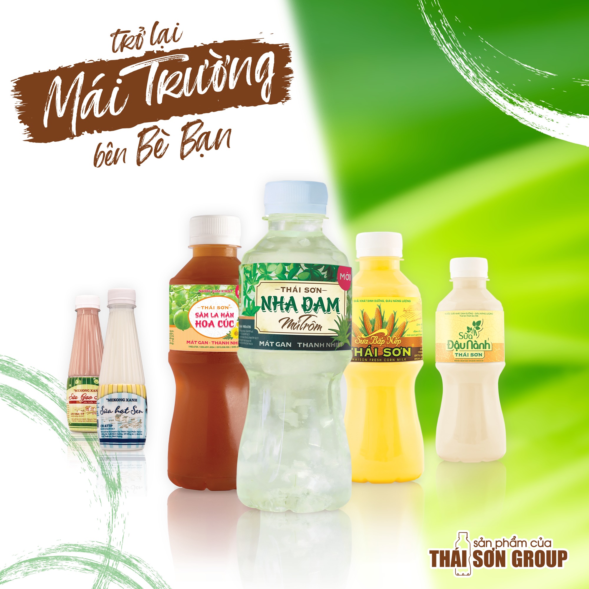 Ảnh minh họa số 2