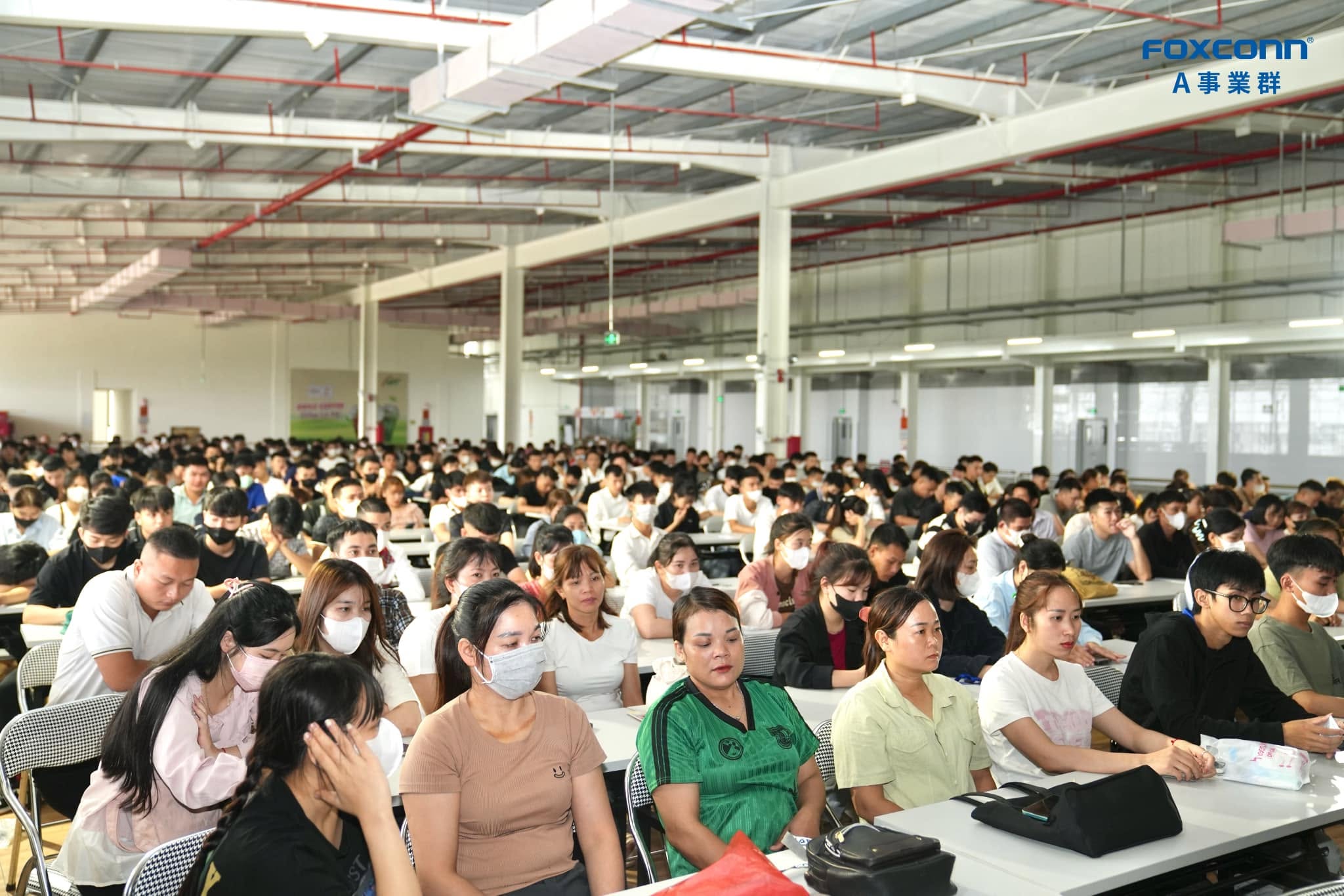 Ảnh minh họa số 3