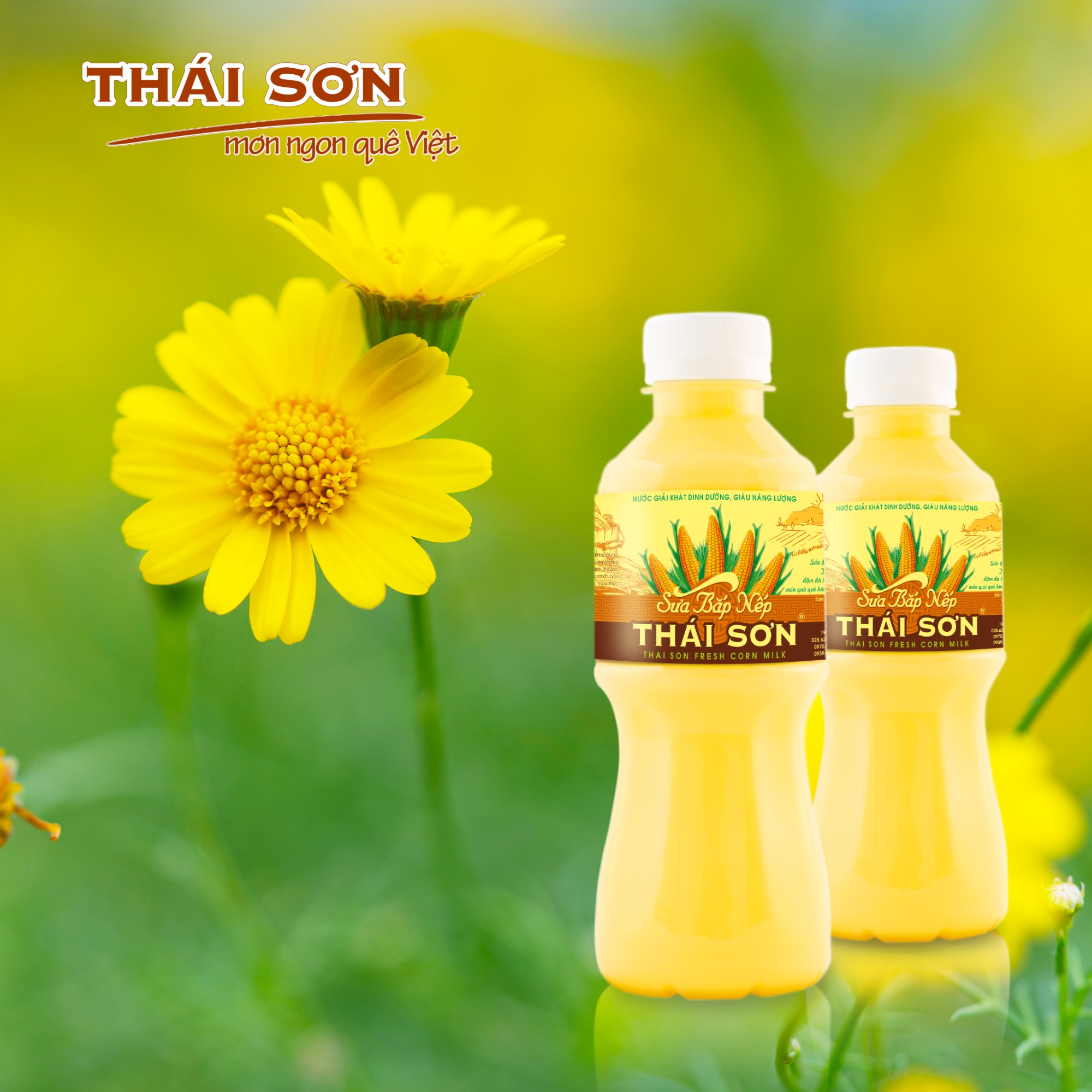Ảnh minh họa số 1