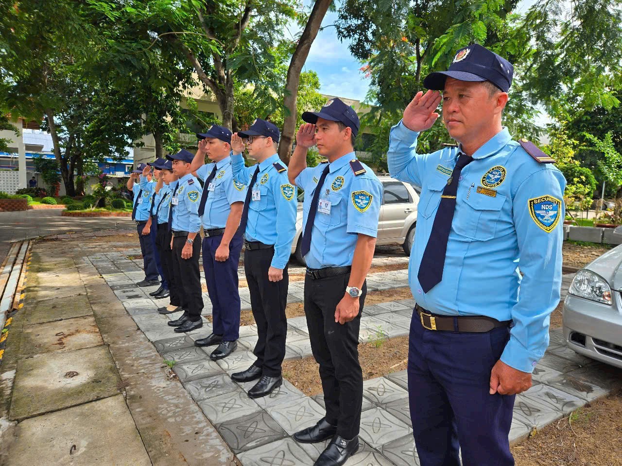 Ảnh minh họa số 1