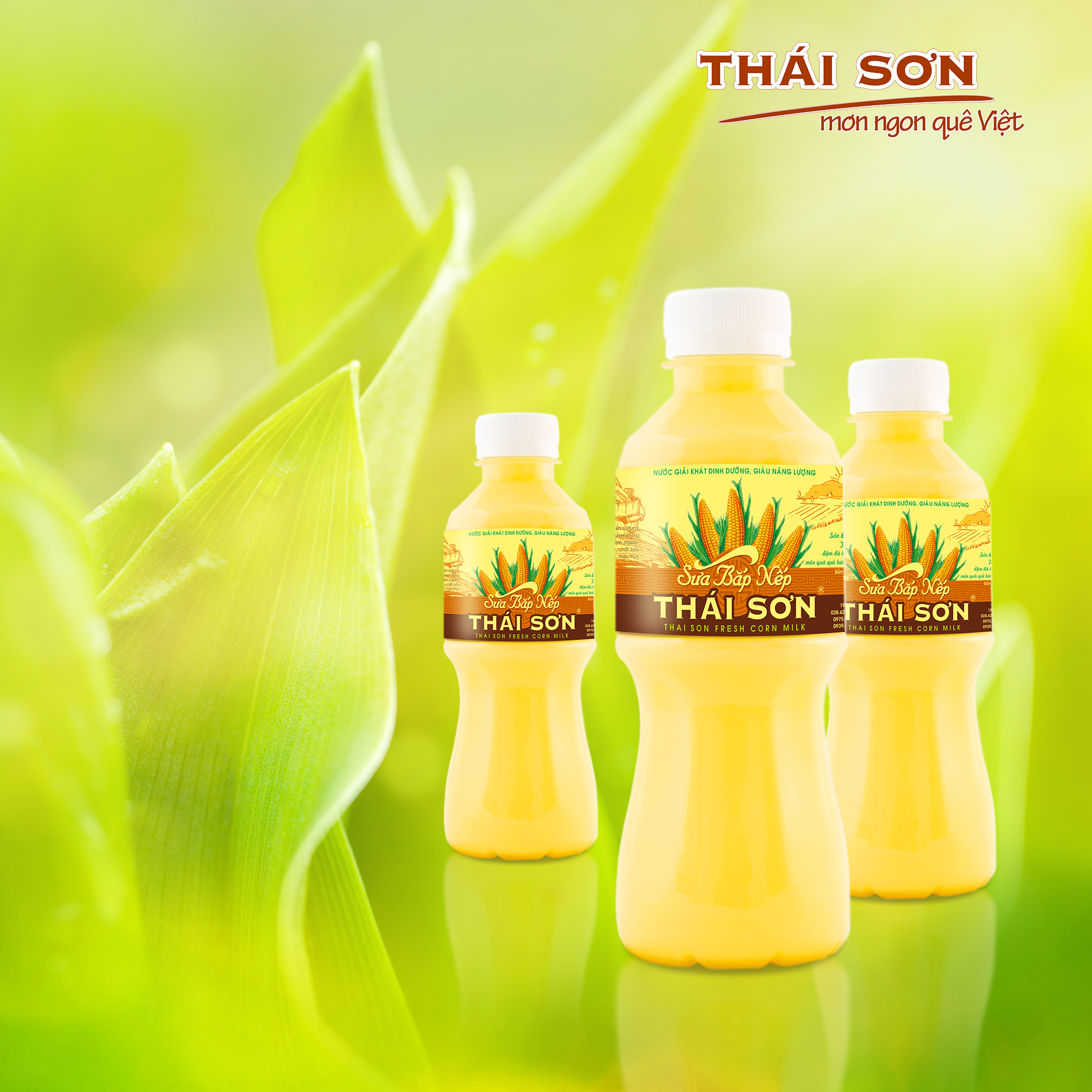 Ảnh minh họa số 2