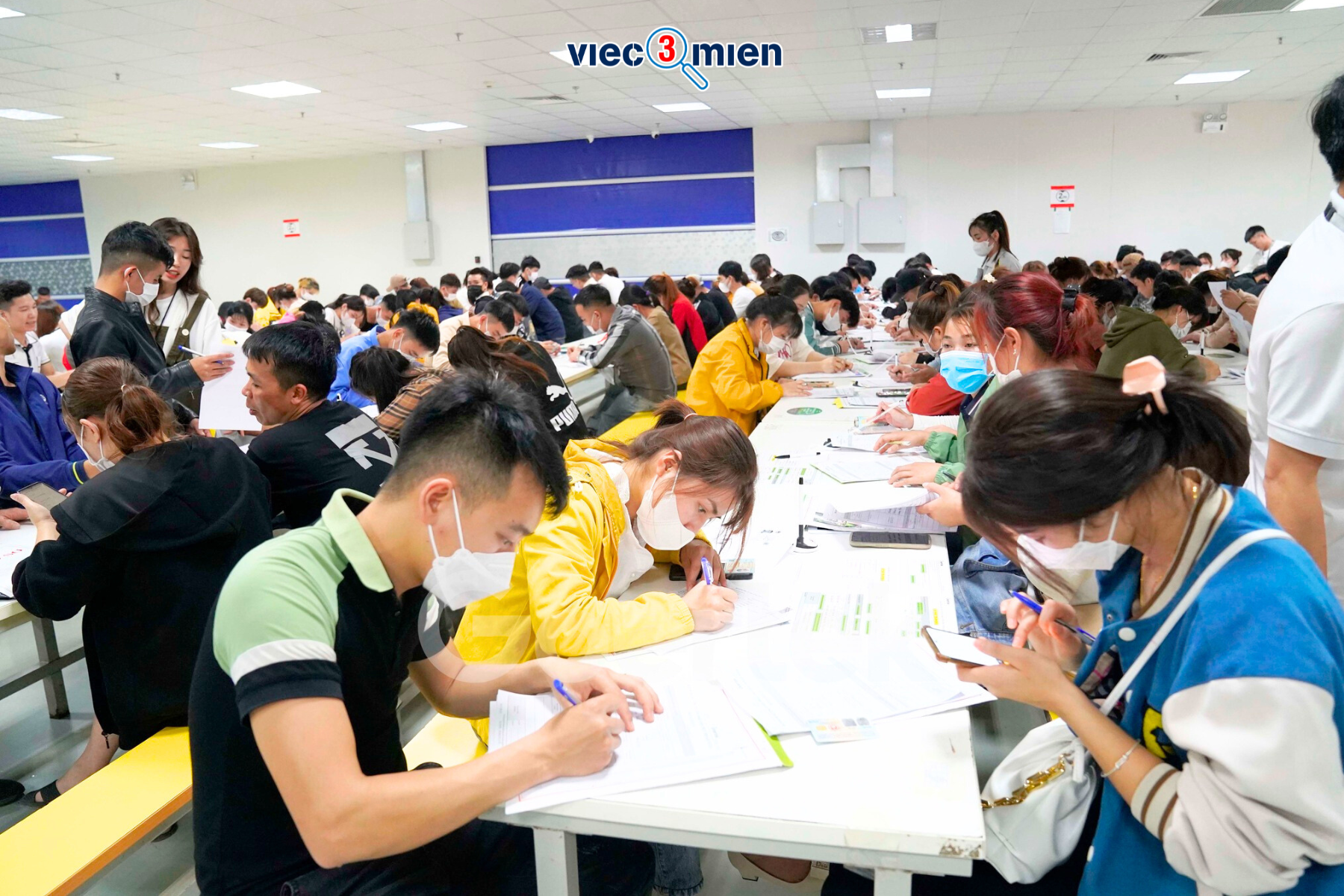 Ảnh minh họa số 3