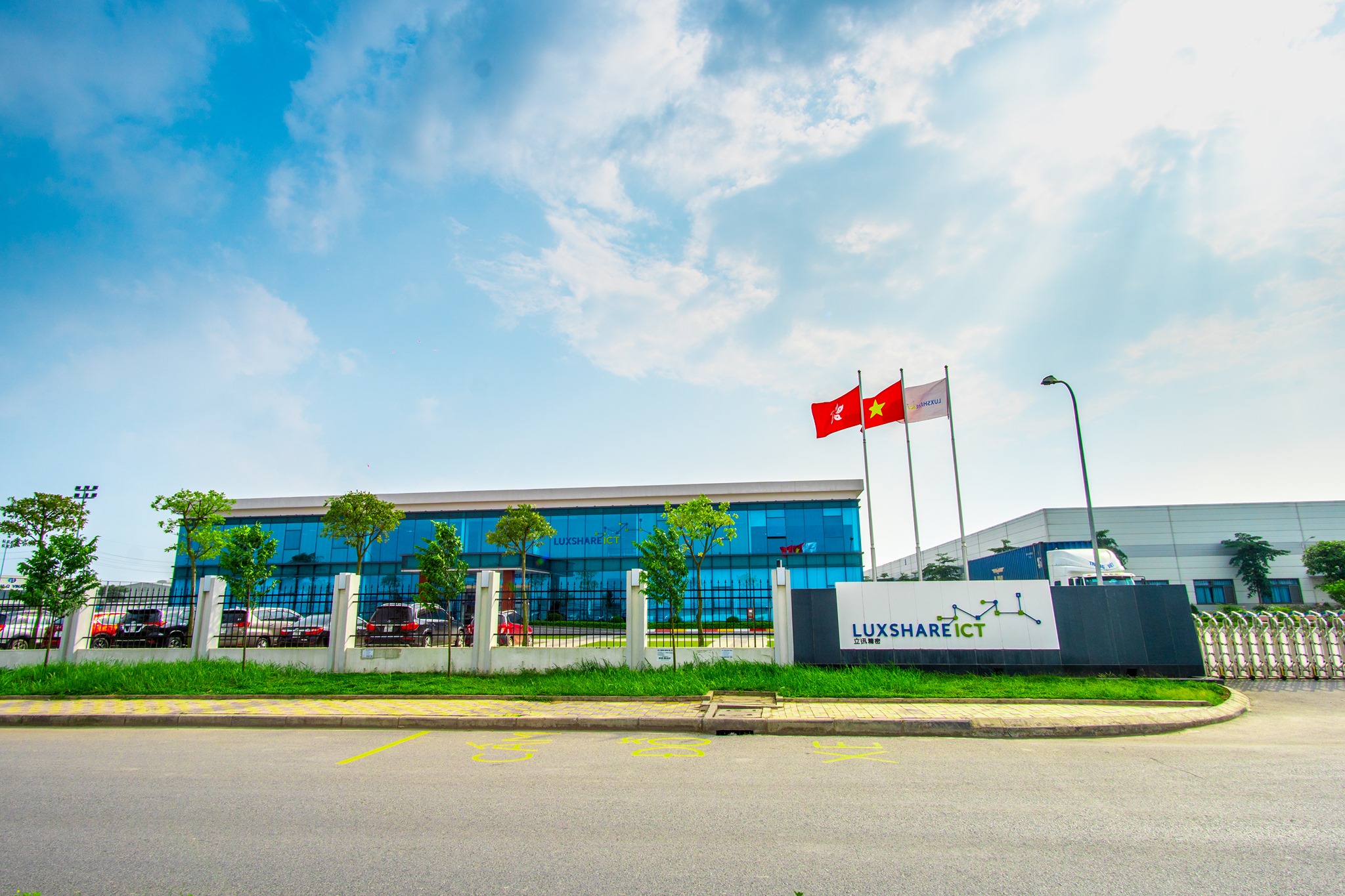Ảnh minh họa số 4