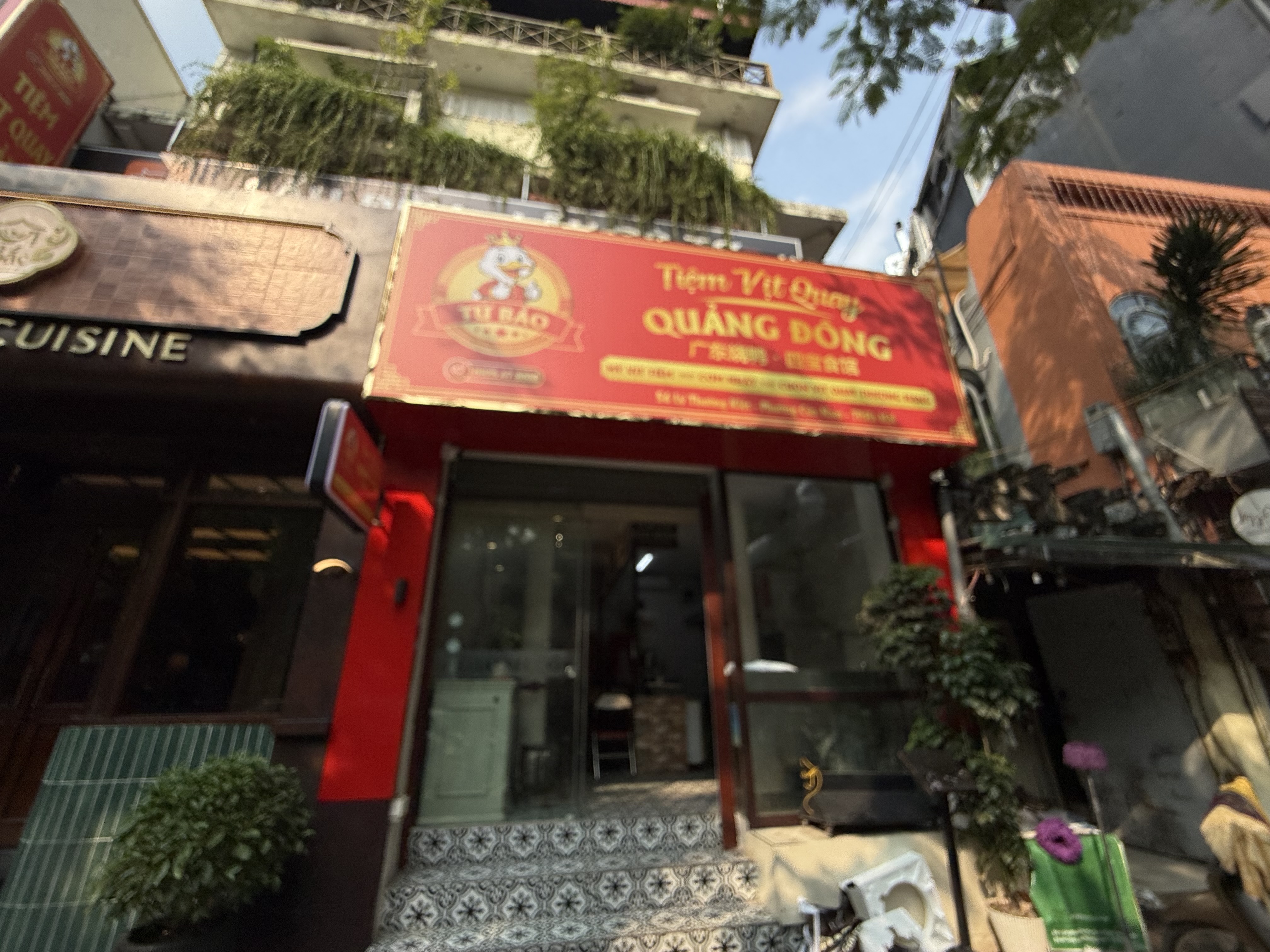 Ảnh minh họa số 5