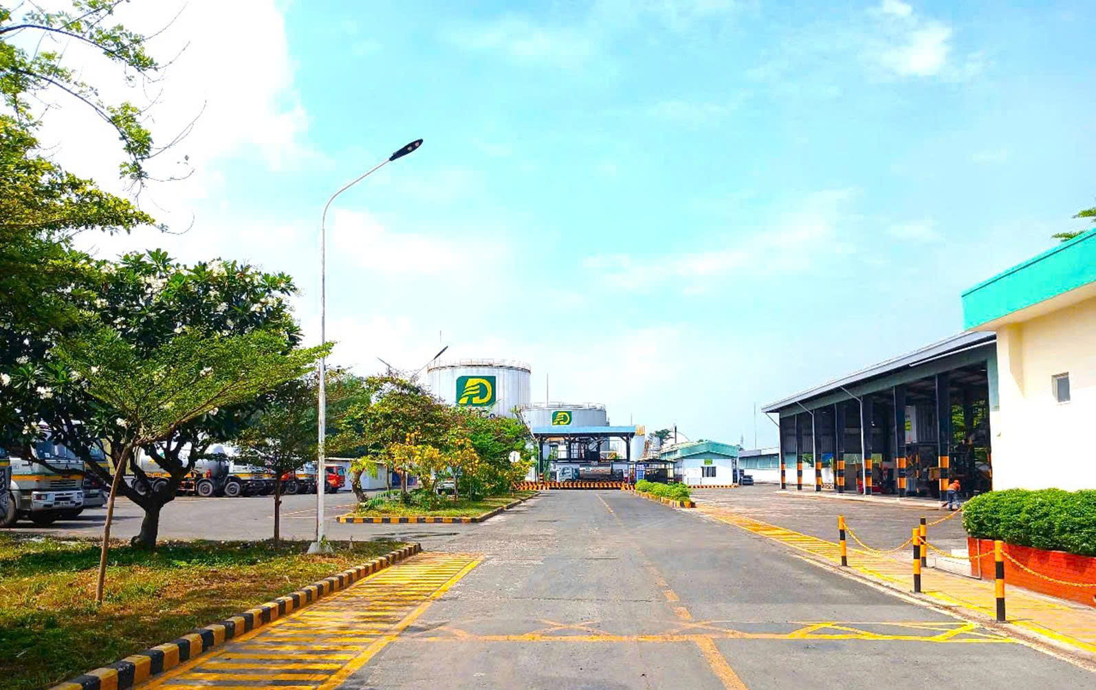 Ảnh minh họa số 3