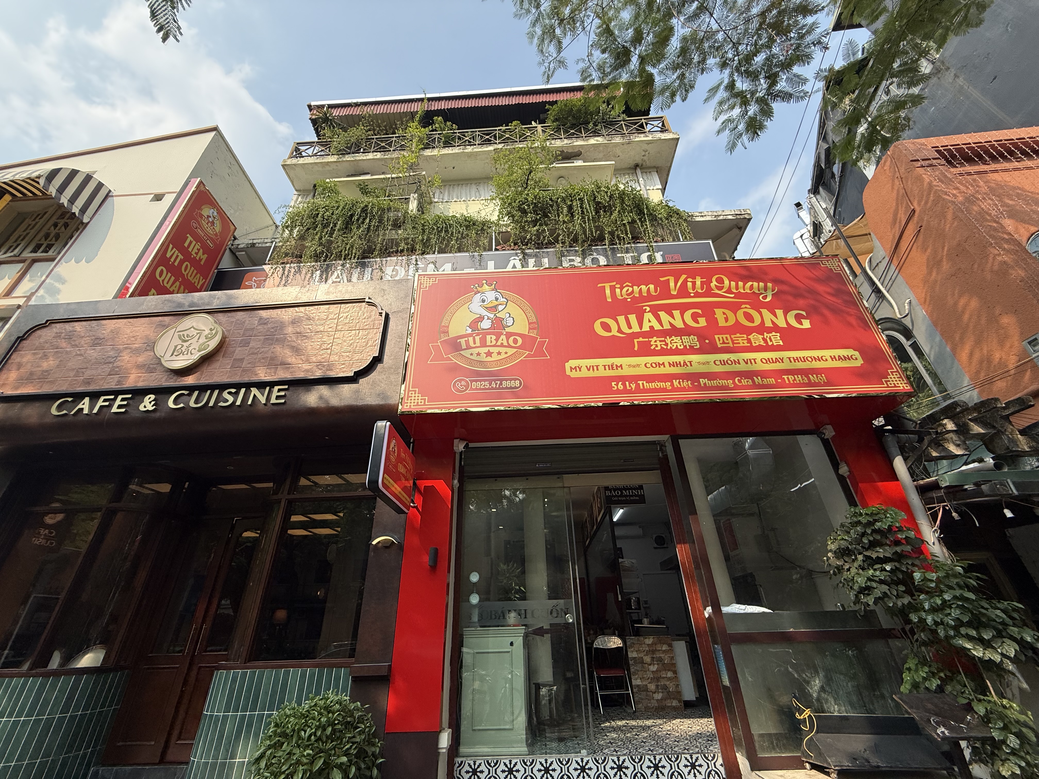 Ảnh minh họa số 3