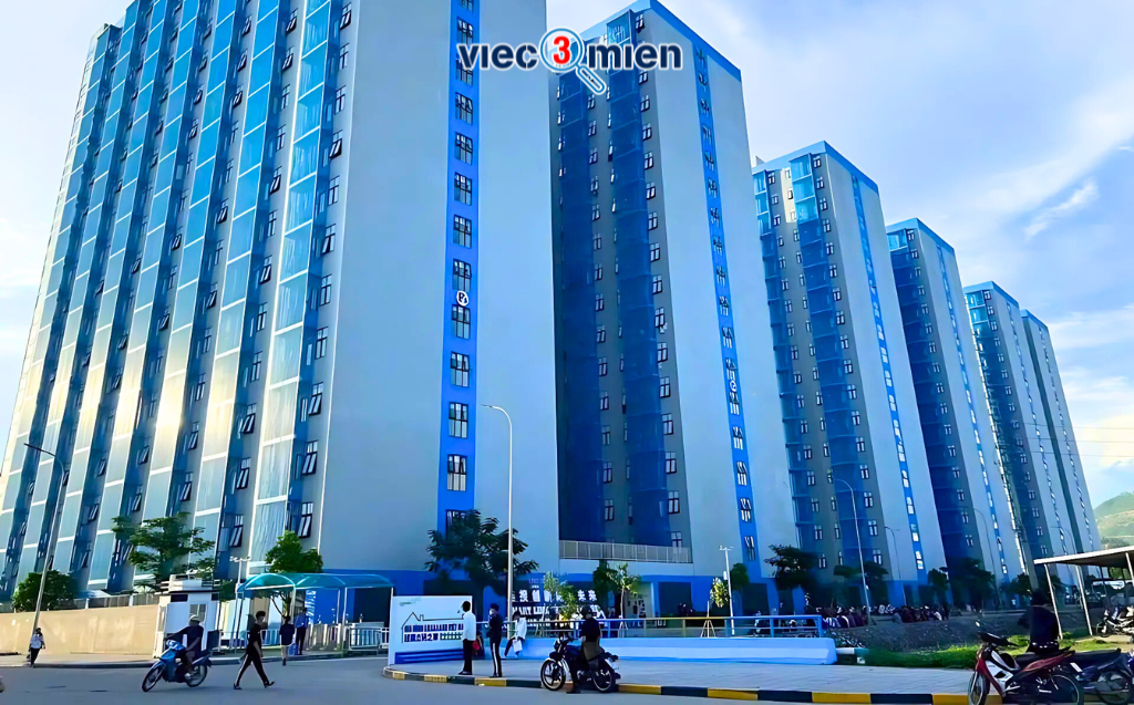 Ảnh minh họa số 4