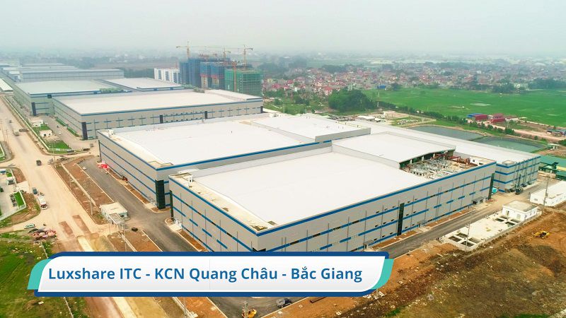Ảnh minh họa số 4