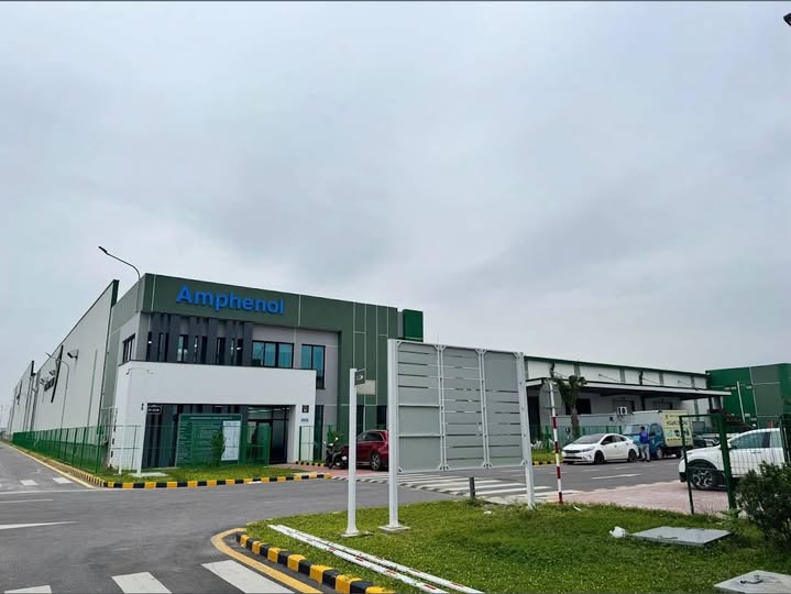 Ảnh minh họa số 1