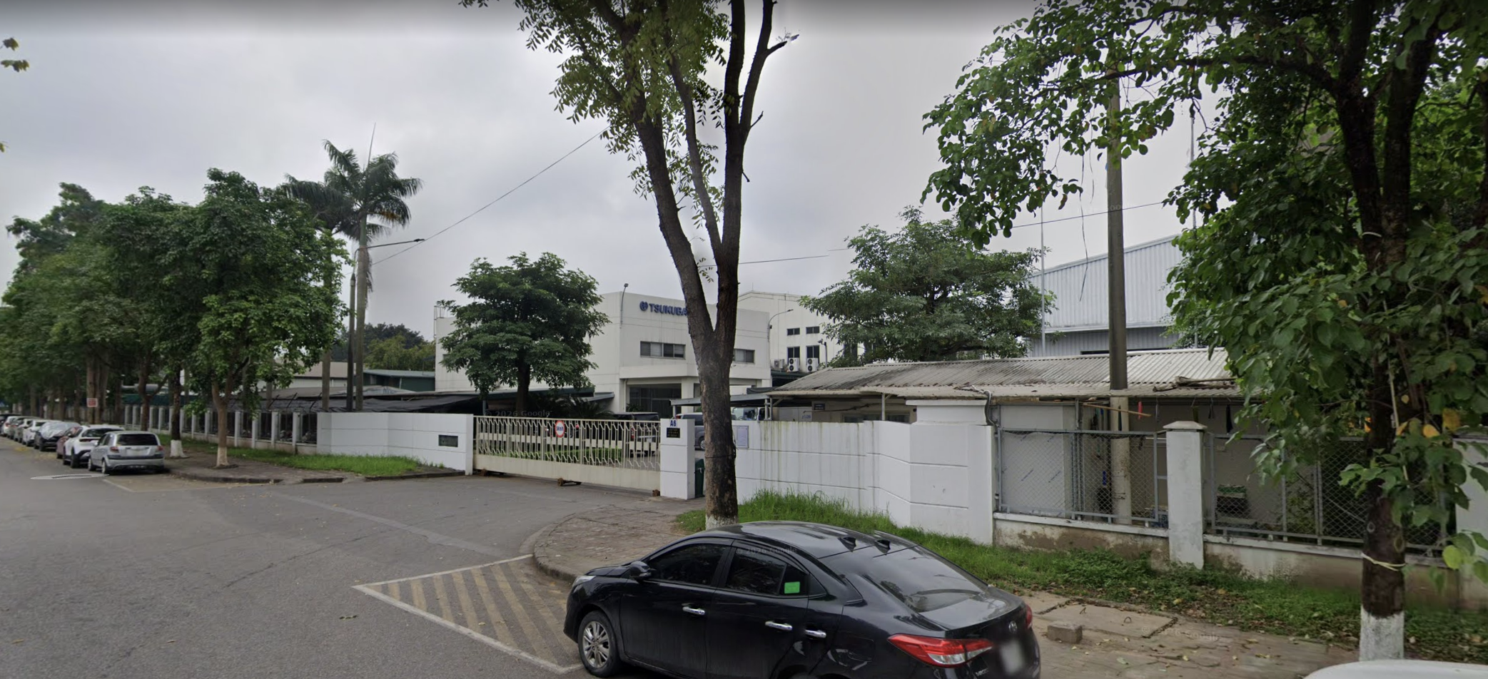 Ảnh minh họa số 2