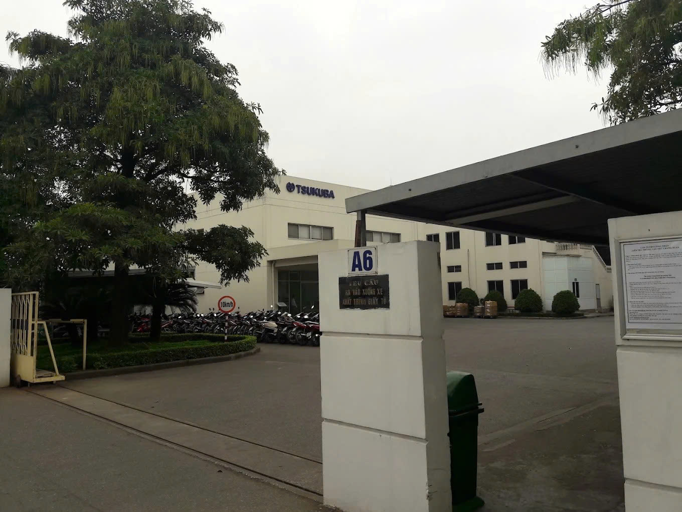 Ảnh minh họa số 3