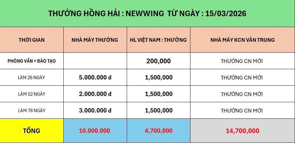 Ảnh minh họa số 5